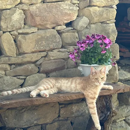 Bed & Breakfast Ca Jurzot 3*