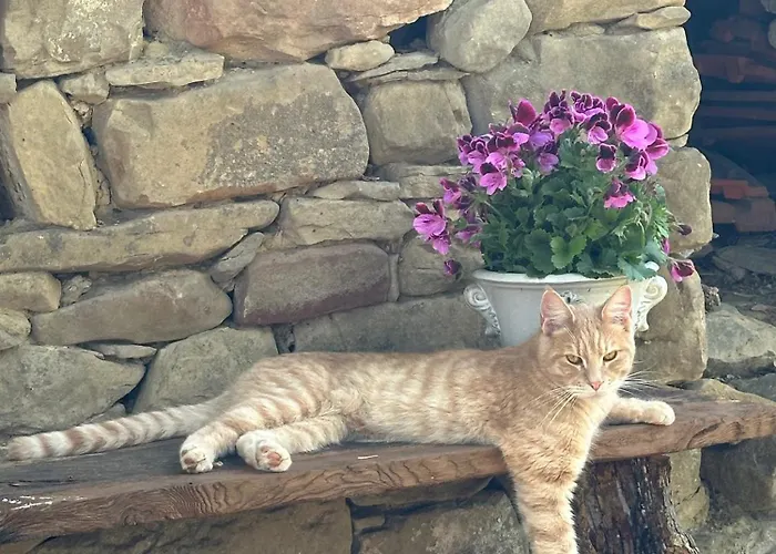 Bed and Breakfast Ca Jurzot 3*