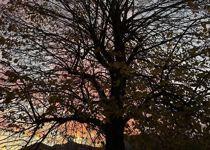 Bed and Breakfast Ca Jurzot Gorzegno